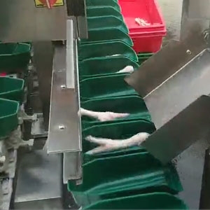 雞爪重量分揀機(jī)